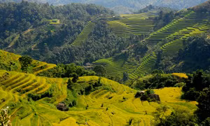 Hà Giang phấn đấu đến năm 2020 thoát khỏi tỉnh đặc biệt khó khăn