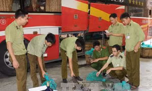 Tạm giữ xe vận chuyển 3,6 tấn xương động vật thối
