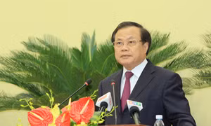 Cảm nghĩ bên thềm xuân mới