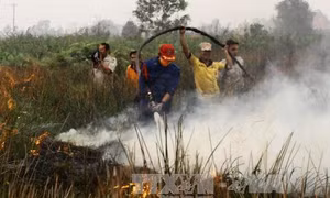 Nút thắt 