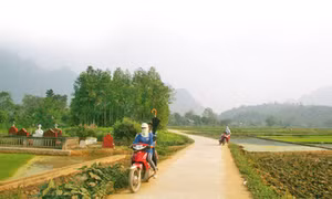 Lào Cai