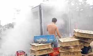 Xe tải phát hỏa, gần 200 con gà con bị thiêu cháy 