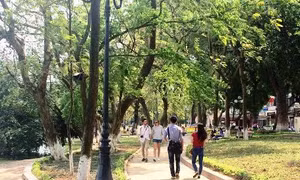 Đầu tuần, Bắc Bộ ngày nắng, Nam Bộ mưa dông 