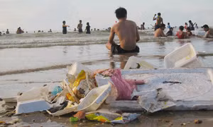 Buồn cho ý thức ở bãi biển