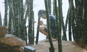 Báo Mỹ nói về “Tôi thấy hoa vàng trên cỏ xanh”