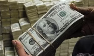 NHNN giảm lãi suất tiền gửi USD còn 0%/năm 