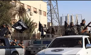 Chiếm Palmyra, IS kiểm soát hơn 50% lãnh thổ Syria