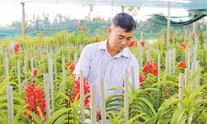 Người dân hưởng lợi từ chính sách và ngân hàng