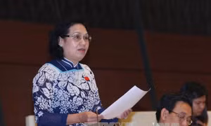 Hy vọng cải cách giáo dục đạt hiệu quả như trả lời của Bộ trưởng