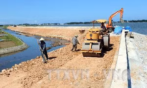Bổ sung 100 tỷ đồng tu bổ đê điều thường xuyên