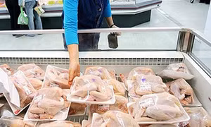 Uẩn khúc giá đùi gà nhập khẩu
