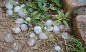 Đắk Nông
