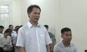 Nguyên Tổng Giám đốc Địa ốc Dầu khí lĩnh 30 năm tù