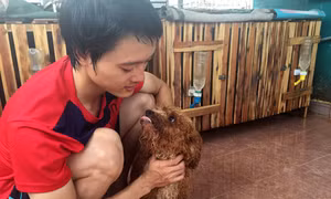 “Hái ra tiền” nhờ kinh doanh thú cưng