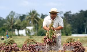 Sóc Trăng