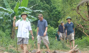 Bộ trưởng Trần Đại Quang chỉ đạo điều tra vụ án tại Nghệ An