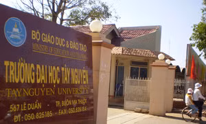 Đại học Tây Nguyên thực hiện đúng khi xét thôi học sinh viên