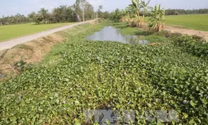 Trà Vinh