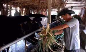 Để giảm nghèo đi vào thực chất
