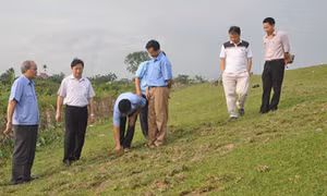 Hưng Yên: Xuất hiện vết nứt trên đê tả sông Hồng