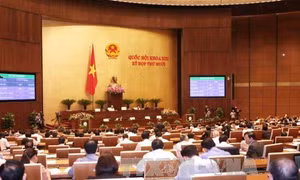 Thống nhất khung pháp lý về đấu giá tài sản