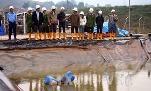 Quảng Nam