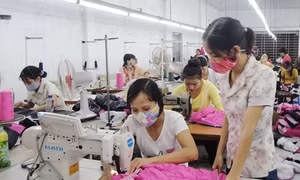 Kế hoạch phát triển kinh tế - xã hội 2011-2015: Nỗ lực cho sự phục hồi thật sự