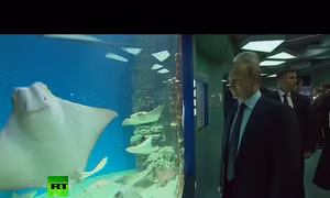 Ông Putin thăm bảo tàng hải dương học lớn nhất châu Âu