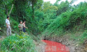 Suối Nậm Khếnh chuyển màu đỏ