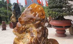 Triển lãm đá cảnh - Đá phong thủy Việt Nam