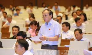 Thảo luận về dự án Luật Thống kê sửa đổi