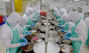 Gỡ khó để xuất khẩu cán đích 