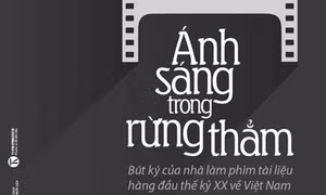 Ánh sáng trong rừng thẳm