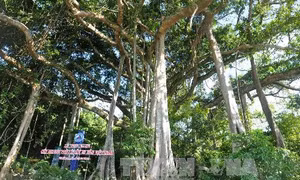 Hà Giang