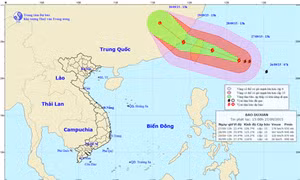 Tin về cơn bão Dujuan 
