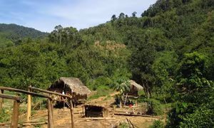 Bắt nghi phạm giết 4 người tại Nghệ An