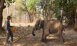 Đắk Lắk