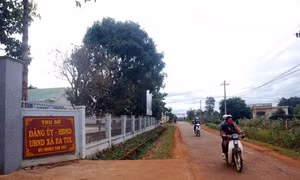 Điểm sáng nông thôn mới ở Ea Tul 