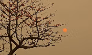 Chạm vào tháng 12