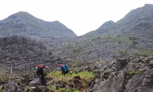 Hà Giang