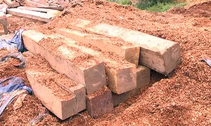 Tịch thu 464 thanh gỗ trắc không rõ nguồn gốc 
