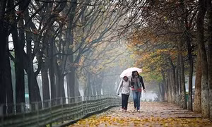 Tháng 11 mênh mang nỗi nhớ