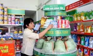 TP. Hồ Chí Minh