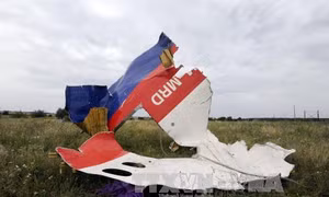 Chuyên gia Mỹ: Nga không có lỗi trong vụ MH17 