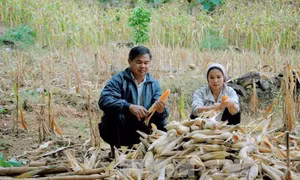 Tránh trùng lắp và chồng chéo chính sách dân tộc