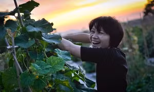 Xu hướng về nông thôn sống tại Hàn Quốc