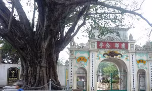 Vĩnh Quỳnh những ngày thu tháng 8