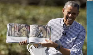 Đàn ong 'phá đám' ông Obama kể truyện