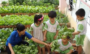 Du lịch học đường – Giải pháp tuyệt vời cho sự quá tải trong học tập