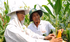 Giúp nâng cao đời sống người dân với việc chuyển giao kiến thức